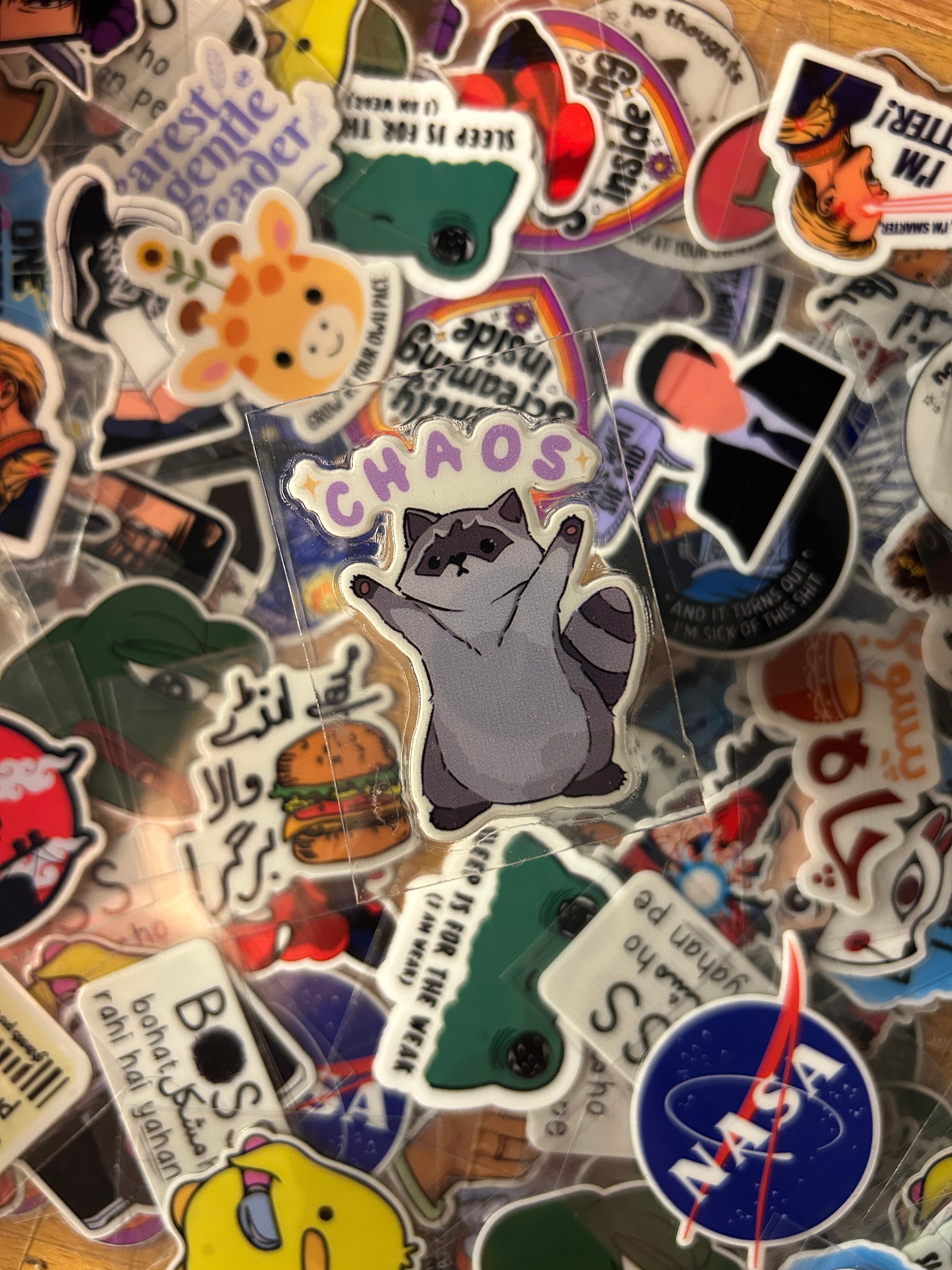 Chaos Raccoon