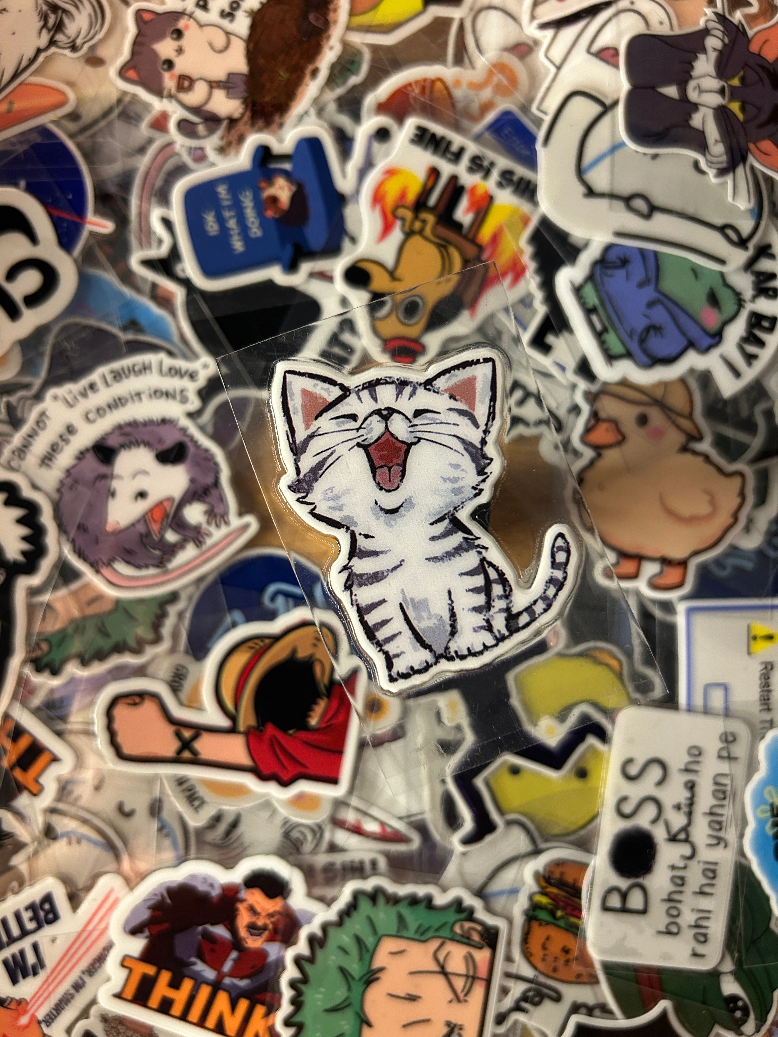 Yawn Cat